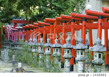 連なる鳥居 連なる鳥居 1436893