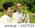 シニア夫婦 1437528
