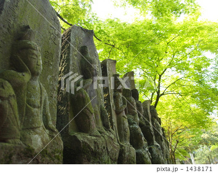 新緑の下の如意輪観音 1438171