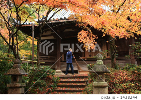 紅葉の境内の掃除 1438244
