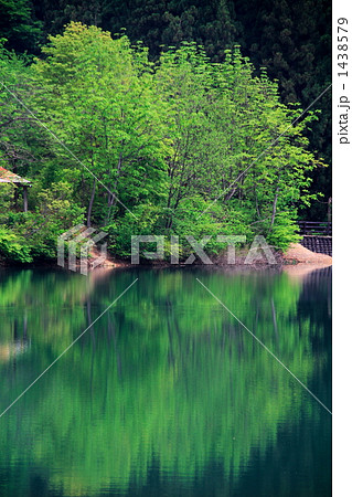 鏡ヶ池 鏡ヶ池 1438579