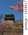 上田城の桜４ 1438617