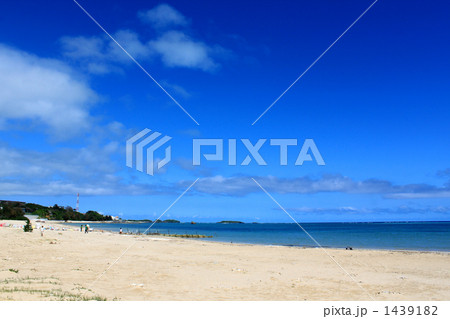 辺野古の海 1439182