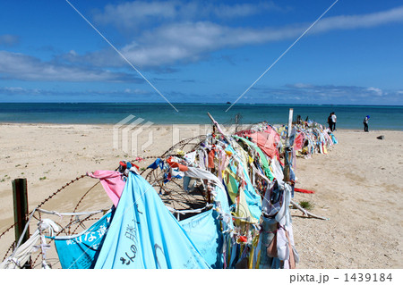 辺野古の海 1439184
