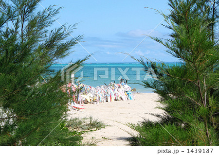 辺野古の海 1439187