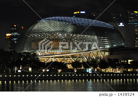 ドリアンドーム 1439524