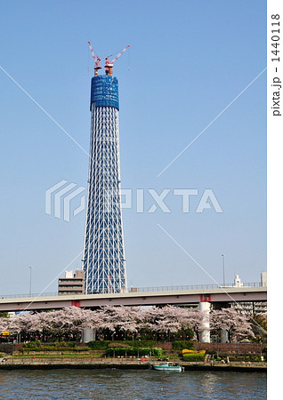 春の東京スカイツリー 1440118