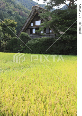 秋の白川郷 秋の白川郷 1440485