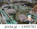 遊園地の花見 1440762