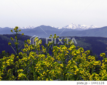 山辺町からみる朝日連峰 1441128