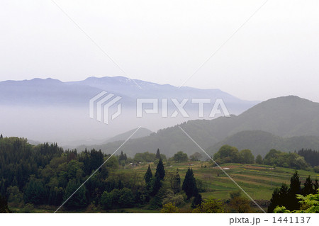 山間部の段々畑 1441137