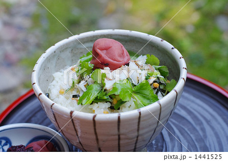 ヘルシー茶漬け 1441525