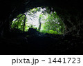 洞窟からみた自然 1441723