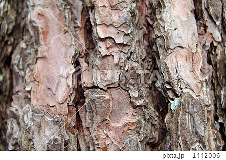 WOOD 1442006