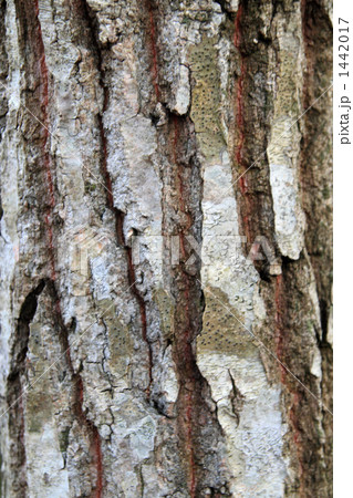 WOOD 1442017