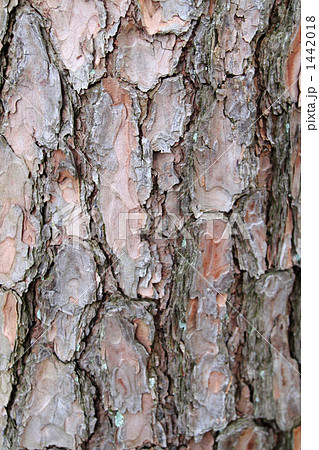 WOOD 1442018
