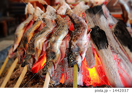 岩魚の塩焼きの写真素材