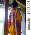 琉装の女性 1442498