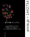 花火 1442734