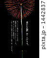 花火 1442837