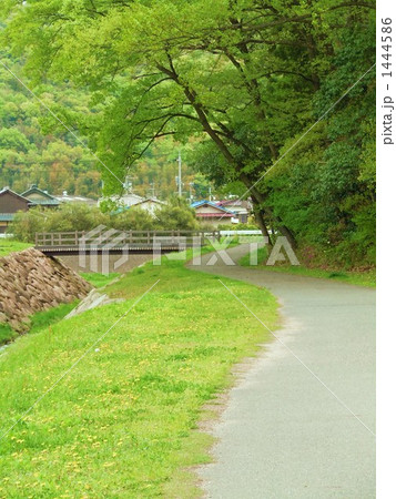 春の田舎道 春の田舎道 1444586