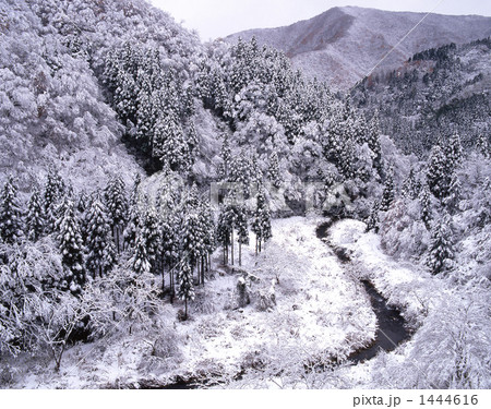 冠雪の藤倉谷 1444616