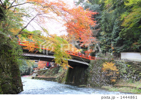 神護寺麓　清滝川と高雄橋 1444861