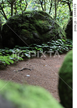 貴船神社の双葉葵の石庭 1444879