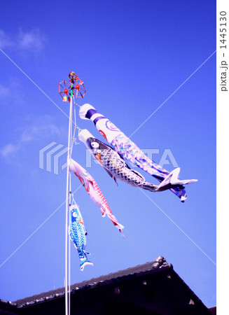 青空に泳ぐ鯉のぼり 1445130