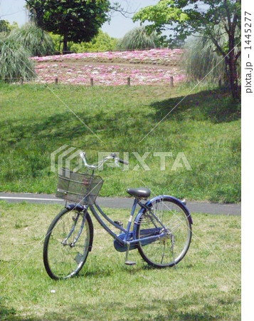 自転車のある風景 1445277