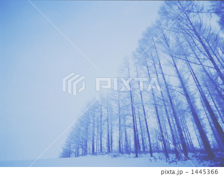 1445366