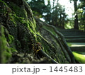 1445483