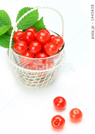 ユスラウメ ユスラウメ 1445639