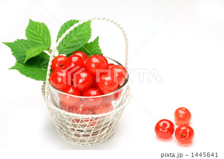 ユスラウメ ユスラウメ 1445641