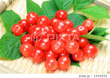 ユスラウメ 1445650