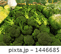 ブロッコリーがいっぱい 1446685