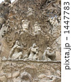 1447783
