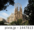 1447813