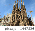 1447826