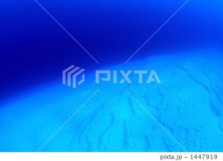 海底砂漠 1447919