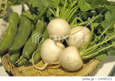 かぶ と そらまめ かぶ と そらまめ 1448521