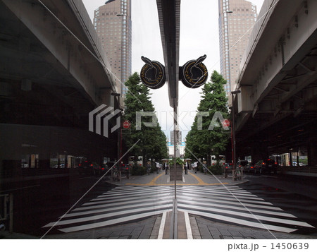 シンメトリー 1450639