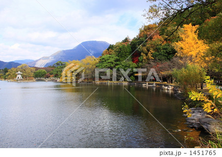 三島池の秋 三島池の秋 1451765