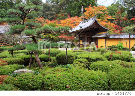 秋の西明寺 1451770