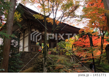 秋の西明寺 1451771