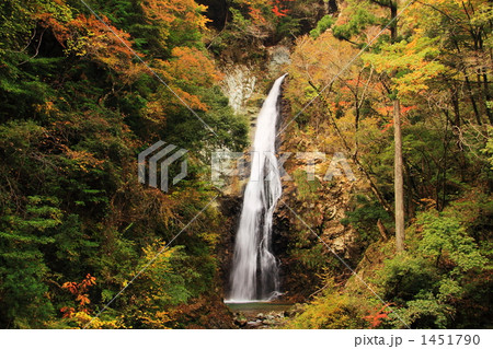 秋の紅葉の原不動滝 1451790