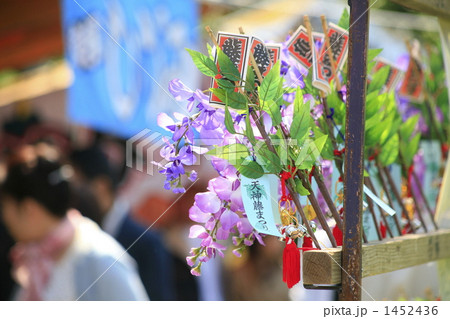 亀戸天神の藤の花と赤い太鼓橋 1452436