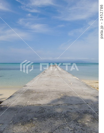 PERPETUAL SUMMER 1452786