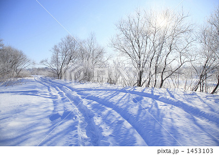 雪の轍の写真素材
