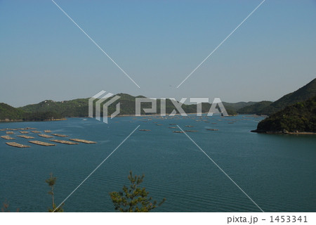 片上大橋より望む久々井湾 1453341